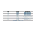 Mini Rack de Parede ( 3us - 16us )